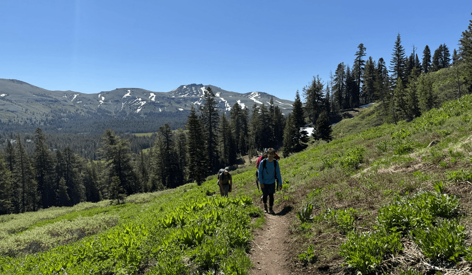 PCT Trail